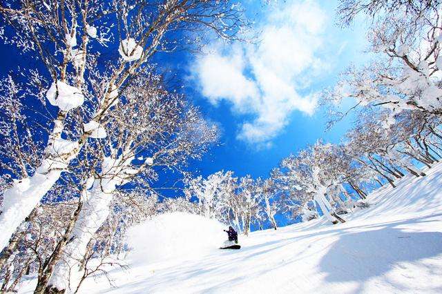 周末来多乐美地滑雪！住宿送