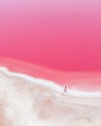 <b>图赏|浪漫的粉色湖泊，美得让人心动</b>