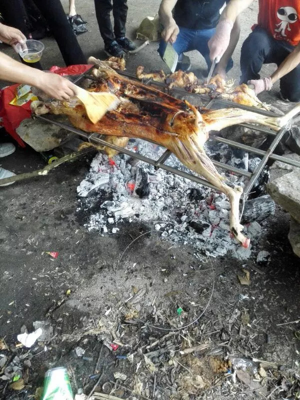 (12)[5月1日]烤全羊 炖鸡汤 徒步六片山 天池游泳浮潜 挡不住的腐败 ！-户外活动图-驼铃网