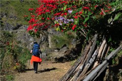  [三夫国际旅行社]2019五一活动：感受幸福国度，拥抱雪峰梦境——世界顶级徒