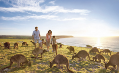 澳大利亚亲子游丨孩子的完美假期，澳大利亚遛娃必看
