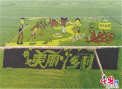 辽宁沈阳：巨幅稻田画成游客打卡网红